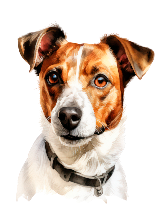 Print - Jack Russell