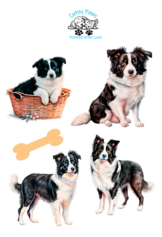 full colour stickers Collie Dog