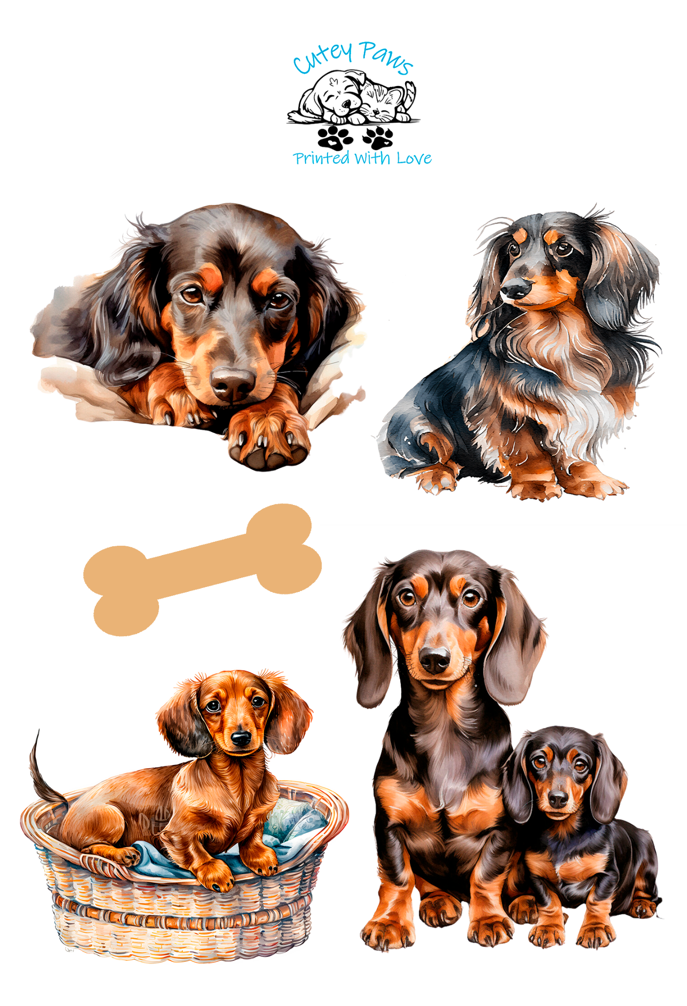 dachshund dog full colour stickers 
